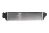 Интеркуллер THERMOTEC DAB004TT (фото 2)