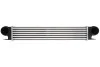 Интеркуллер THERMOTEC DAB006TT (фото 1)