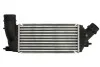Интеркуллер THERMOTEC DAC011TT (фото 1)