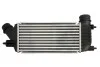 Интеркуллер THERMOTEC DAC011TT (фото 2)