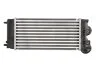Інтеркулер THERMOTEC DAC012TT (фото 2)