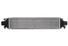 Интеркуллер THERMOTEC DAD002TT (фото 1)