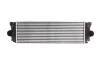 Интеркуллер THERMOTEC DAM006TT (фото 1)