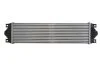 Інтеркулер THERMOTEC DAR002TT (фото 2)