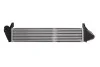 Интеркуллер THERMOTEC DAR005TT (фото 2)