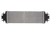 Интеркуллер THERMOTEC DAR009TT (фото 2)