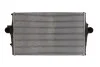 Интеркуллер THERMOTEC DAV002TT (фото 1)
