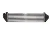 Интеркуллер THERMOTEC DAV004TT (фото 2)