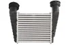 Интеркуллер THERMOTEC DAW004TT (фото 2)