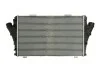 Интеркуллер THERMOTEC DAX011TT (фото 2)