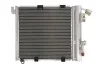 Радиатор кондиционера THERMOTEC KTT110000 (фото 1)