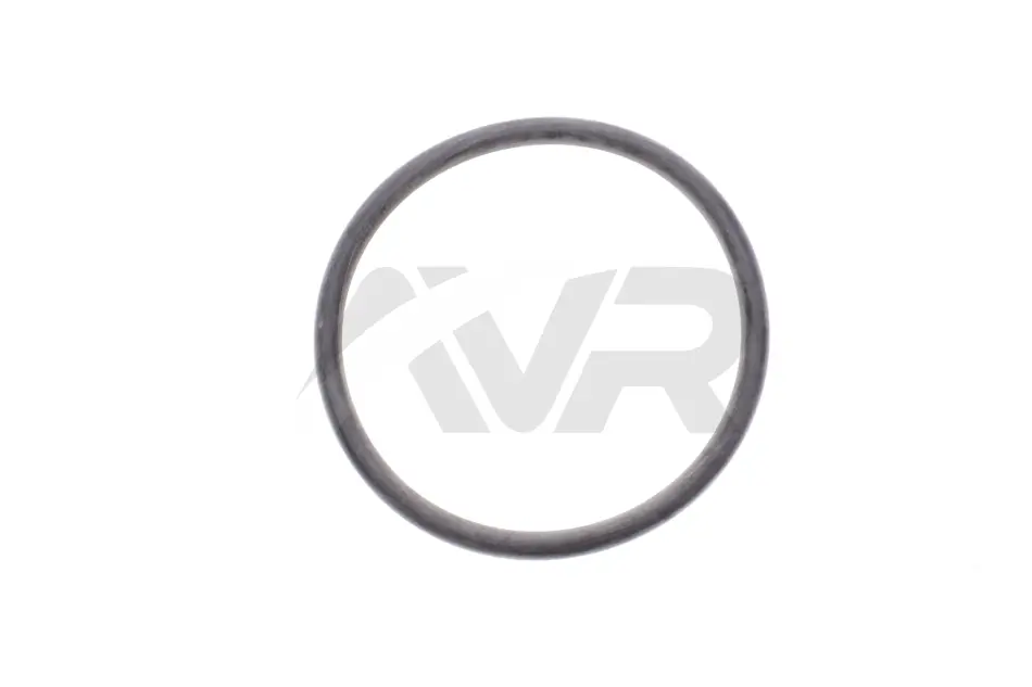 Кільце гумове TOYOTA 221930R020 (фото 1)