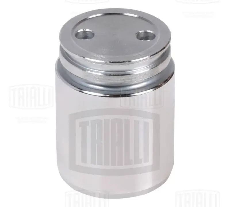 Поршень зад. супорту для а/м Ford/Mazda/Opel/Renault/SAAB/VOLVO d=38mm (RCF 102064) TRIALLI Trialli RCF102064 (фото 1)