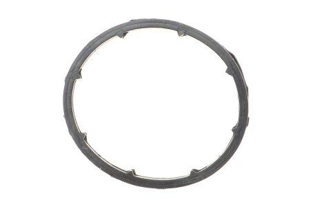 Уплотняющее кольцо масляного радиатора. AUTOMOTIVE TRUCKTEC 02.18.093