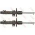 Амортизатор TRW JGM1082T (фото 1)