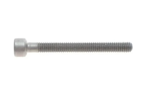 Болт M6X55 крепления насос-форсунки AUDI/VW VAG 070103385A
