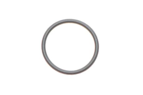 Кольцо уплотнительное форсунки VW Amarok, Crafter, Passat, Polo, T6/Audi A1, A3, A8/Skoda Octavia 1.6, 2.0, 3.0 D (07-) VAG WHT000884