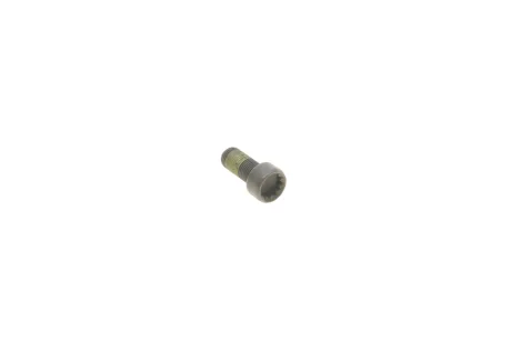 Болт кріплення маховика AUDI/VW VAG WHT009773