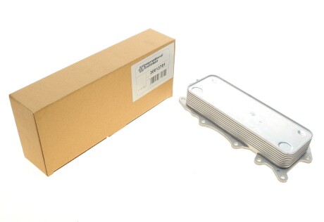 Радиатор масляный Van Wezel 30013701