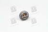 Термостат DAEWOO/OPEL/VAUXHALL Vernet TH489892 (фото 1)