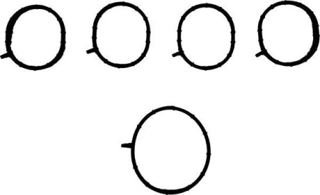 Комплект прокладок гумових VICTOR REINZ 111003001