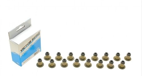 Комплект прокладок, сальники клапана REINZ VICTOR REINZ 12-10130-01