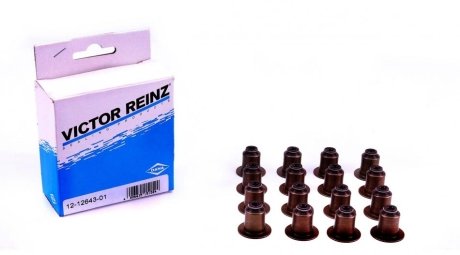 Комплект прокладок, сальники клапана REINZ VICTOR REINZ 12-12643-01