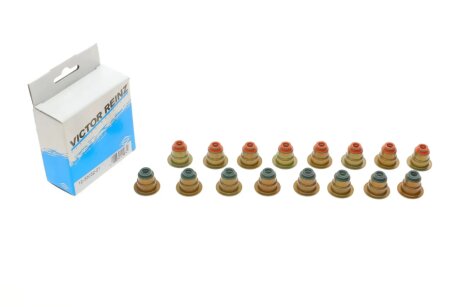 Сальник клапана (впуск/випуск) (к-кт) Ford Transit VICTOR REINZ 12-33032-01