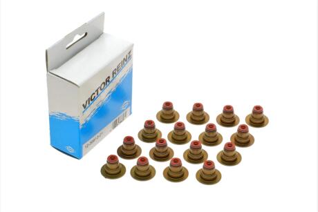 Комплект сальників клапанів VICTOR REINZ 12-36613-01