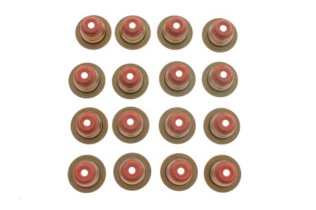 Комплект сальників клапанів VICTOR REINZ 12-38209-02