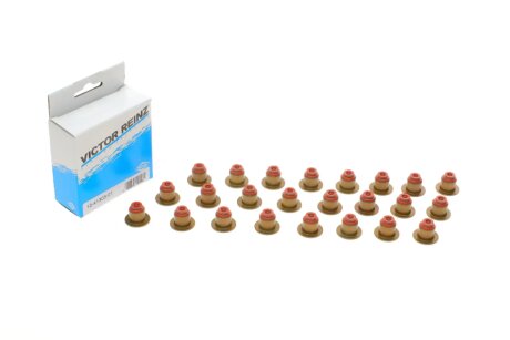 Комплект сальників клапану BMW N57D30A X5 3,0d E70, 325-330d E90, 525-530d F10, 730d F01 VICTOR REINZ 12-41303-01