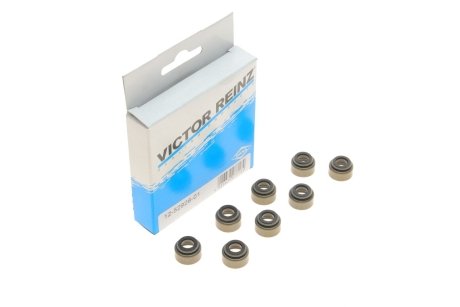 Комплект прокладок, сальники клапана REINZ VICTOR REINZ 12-52928-01