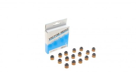 Комплект прокладок, сальники клапана REINZ VICTOR REINZ 12-53854-01