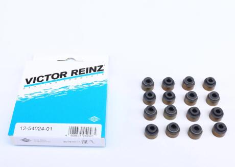 Комплект прокладок, сальники клапана REINZ VICTOR REINZ 12-54024-01