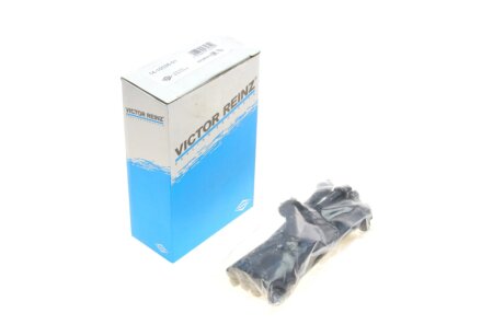 Комплект болтів гбц REINZ VICTOR REINZ 14-10026-01