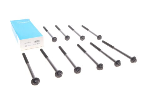 Комплект болтов гбц REINZ VICTOR REINZ 14-10398-01