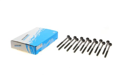 Комплект болтів гбц REINZ VICTOR REINZ 14-10398-02