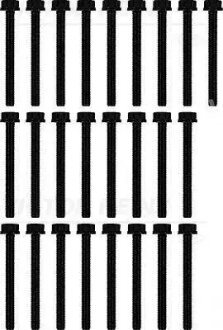 Болти головки блока циліндрів VICTOR REINZ 14-32063-02