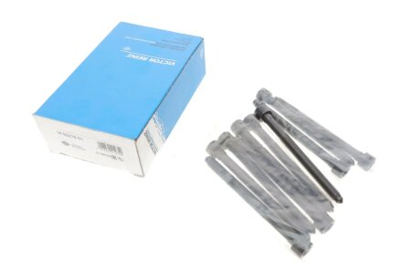 Комплект болтов гбц REINZ VICTOR REINZ 14-32276-01