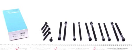 Комплект болтов гбц REINZ VICTOR REINZ 14-32359-01