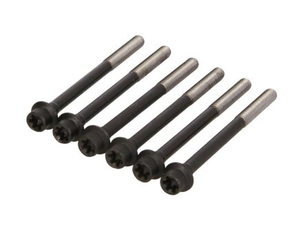 Комплект болтів головки циліндра VICTOR REINZ 143237601