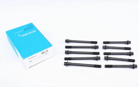 Комплект болтов гбц REINZ VICTOR REINZ 14-55002-01