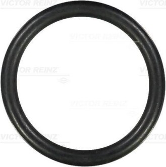 Уплотняющее кольцо VICTOR REINZ 407609800