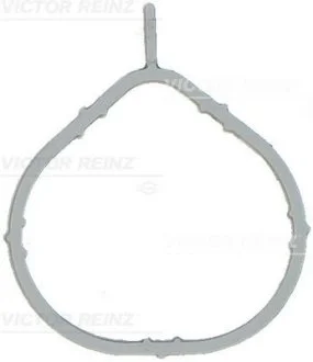 Прокладка впускного коллектора VICTOR REINZ 71-17066-00