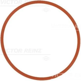 Уплотнитель VICTOR REINZ 711737000