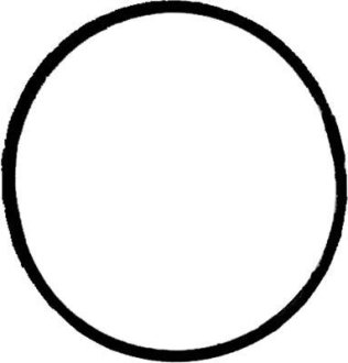 Прокладка коллектора EX RVI MIDR06.35.40 (Vi VICTOR REINZ 71-37213-00