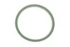 Прокладка впускного коллектора. VICTOR REINZ 71-37599-00 (фото 1)