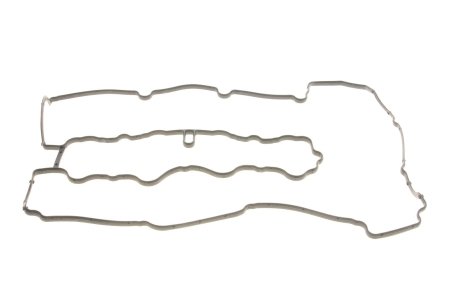 Ущільнення, кришка голівки циліндра REINZ VICTOR REINZ 71-41338-00