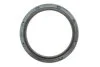 Сальник 85X105X11 AUDI/SEAT/SKODA/VW AUDI/SEAT/SKODA/VW A8,Q7,Fabia,Bora,Golf VICTOR REINZ 81-34819-00 (фото 1)