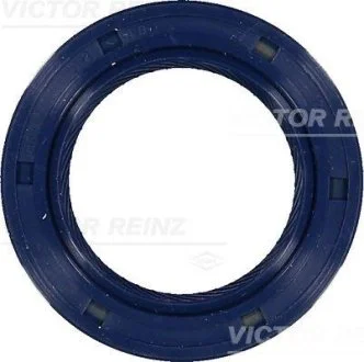Уплотняющее кольцо VICTOR REINZ 81-53238-00